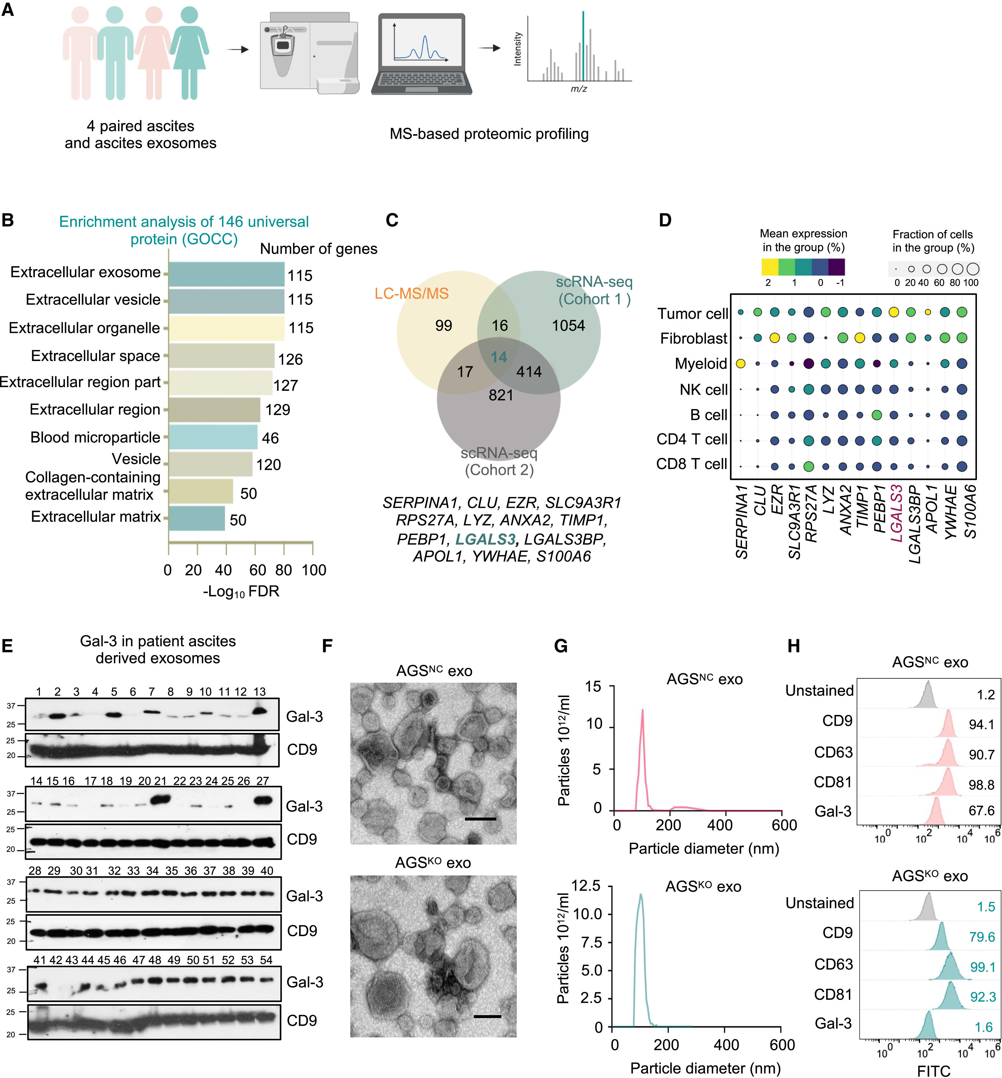 1897570255002783744-exosomal-cytokines-profiling-service2.jpg