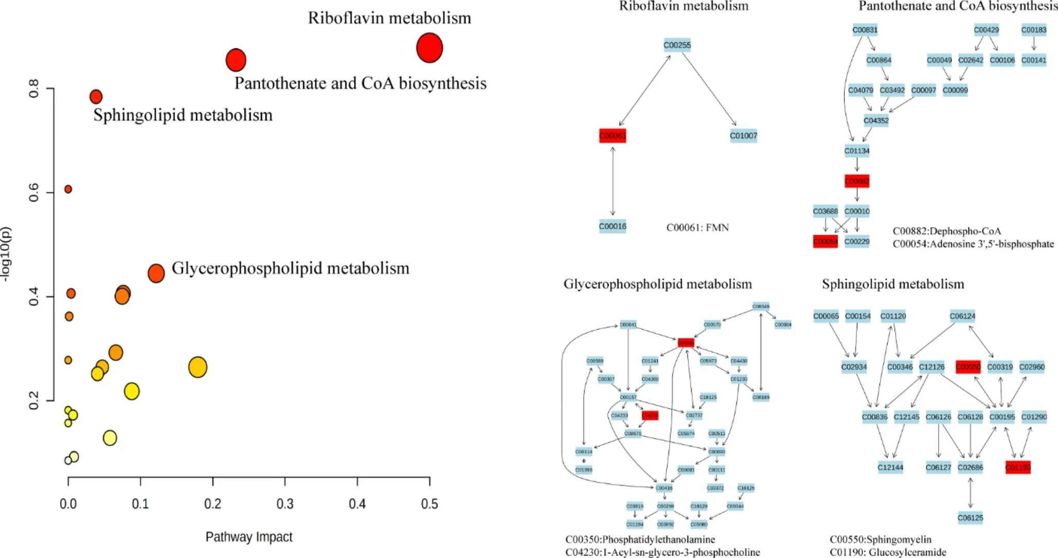 1897576650708209664-exosomes-metabolomics-service3.png
