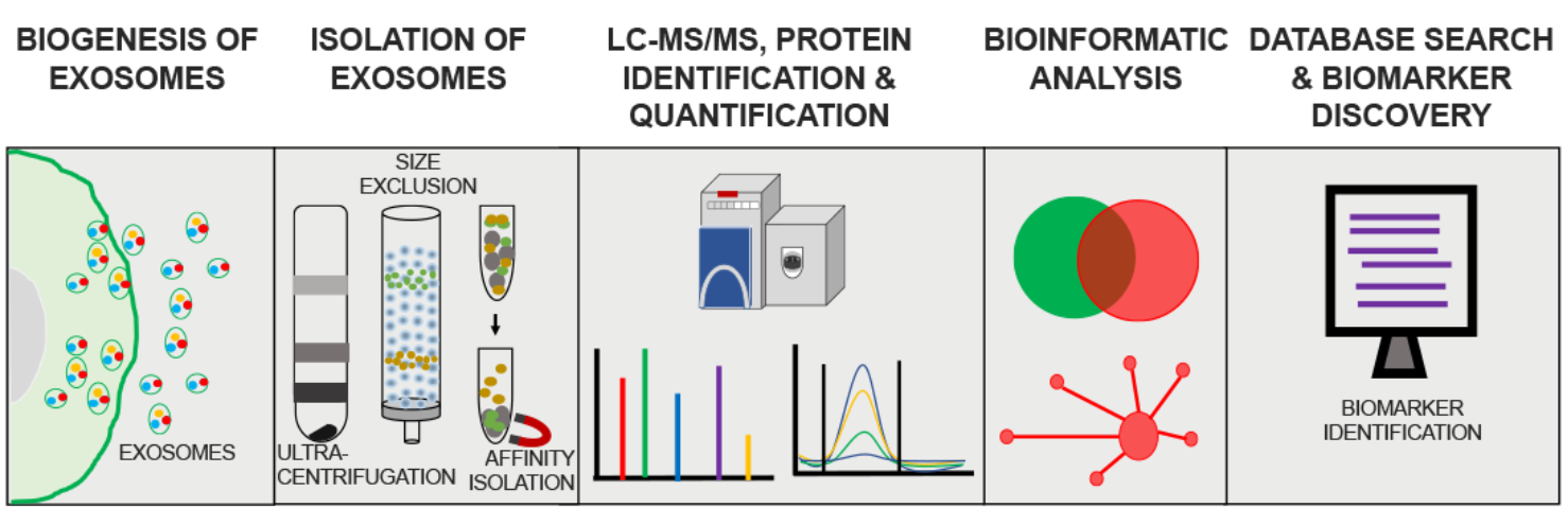 1897899176348995584-diagnostic-applications-of-exosomes1.png
