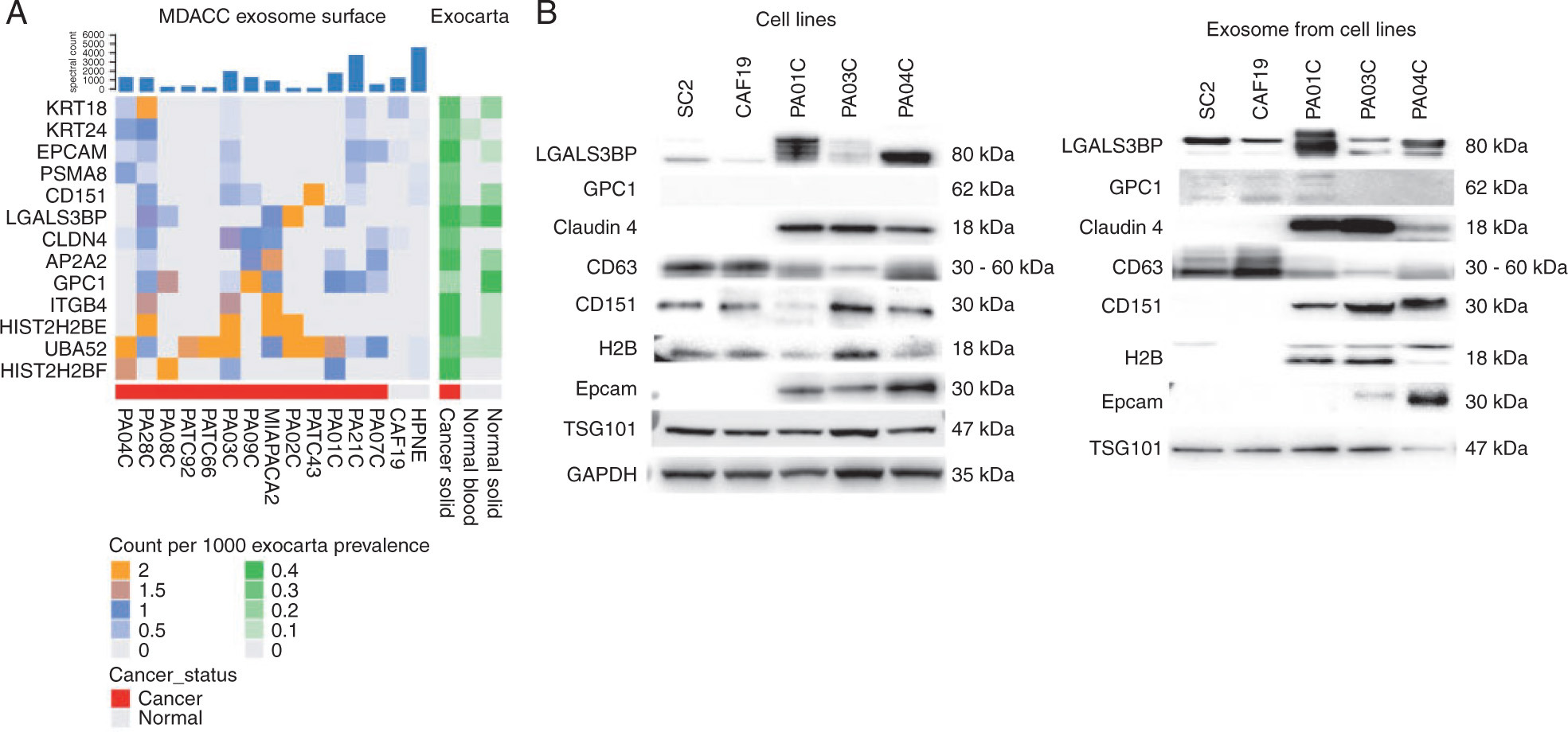 1897922798811729920-exosomal-surface-marker-based-exosome-characterization-service2.jpg