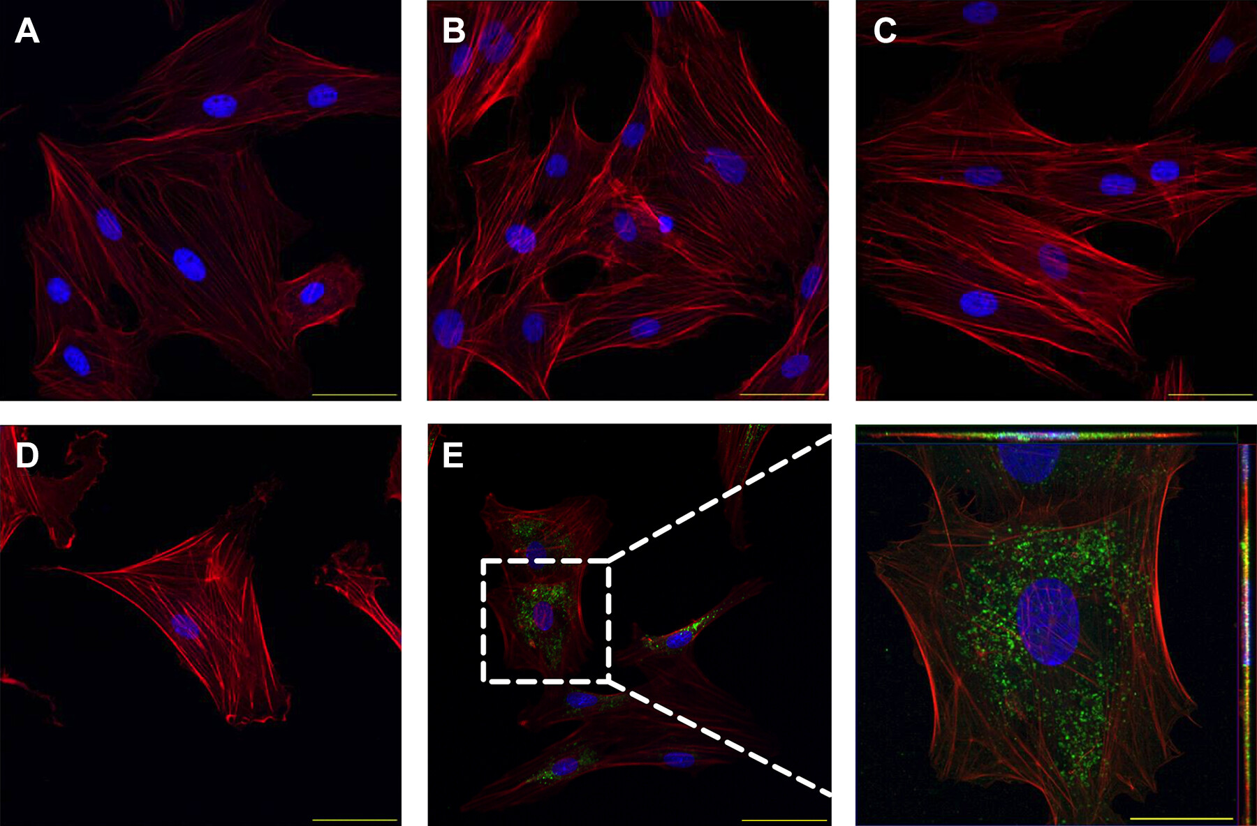 1897930158439518208-tissue-exosome-isolation-service2.jpeg