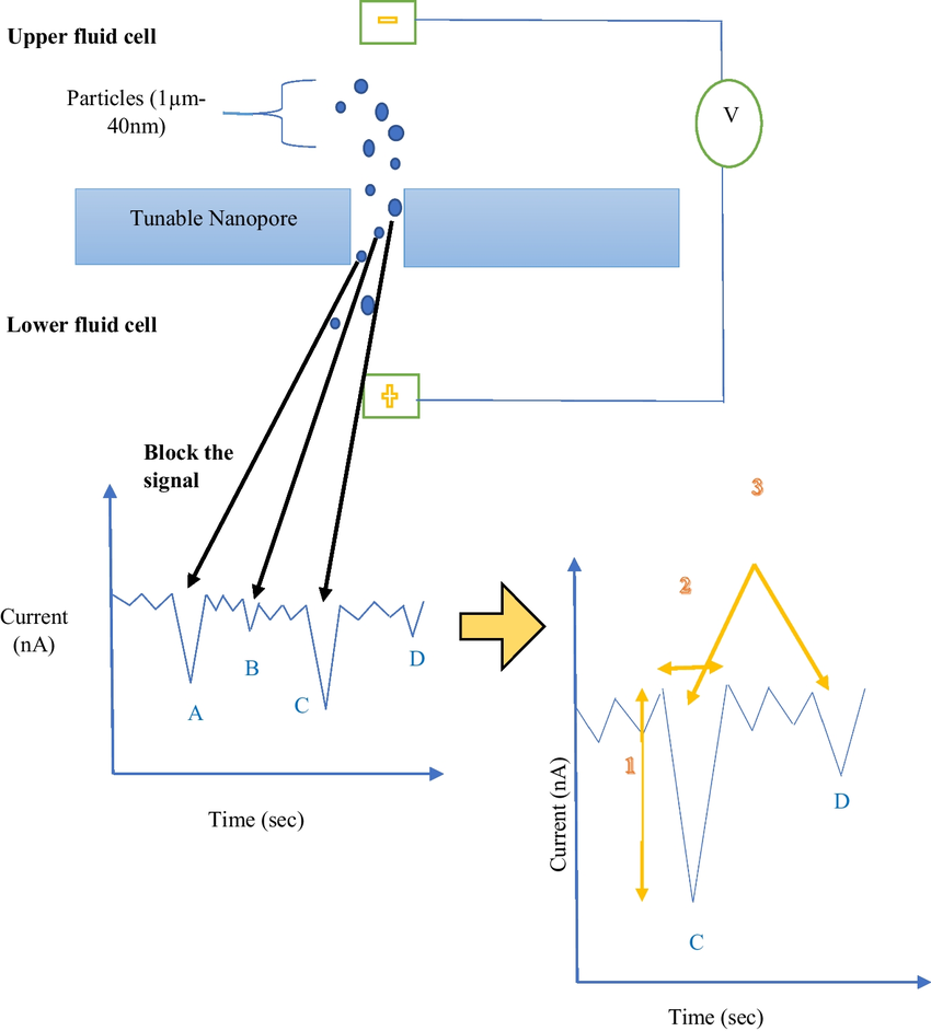 1898926484065210368-tunable-resistive-pulse-sensing-trps-based-exosome-characterization-service1.png