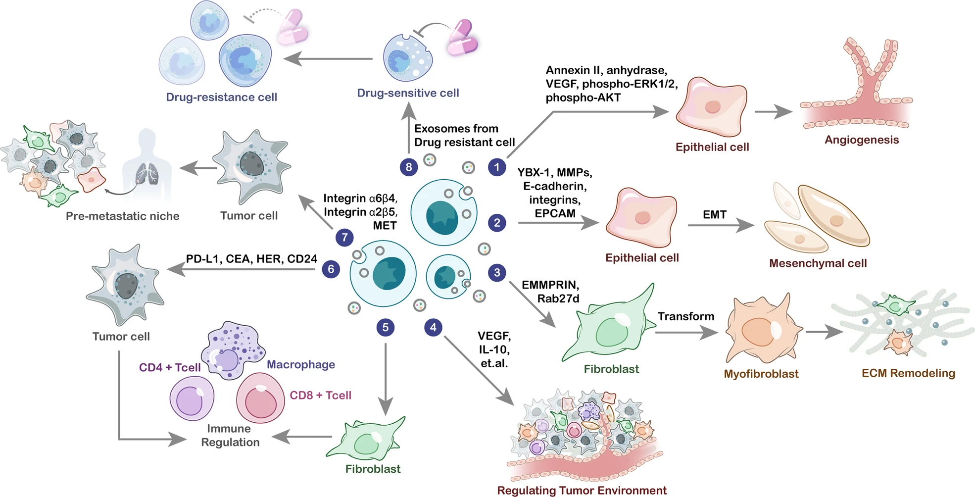 1898974914288406528-ultra-sensitive-targeted-exosomal-proteomic-detection-service1.png