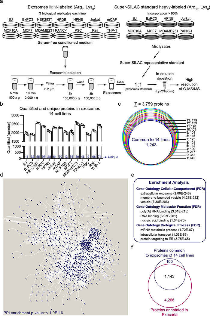 1898980083059249152-ultra-sensitive-targeted-exosomal-proteomic-detection-service4.jpg