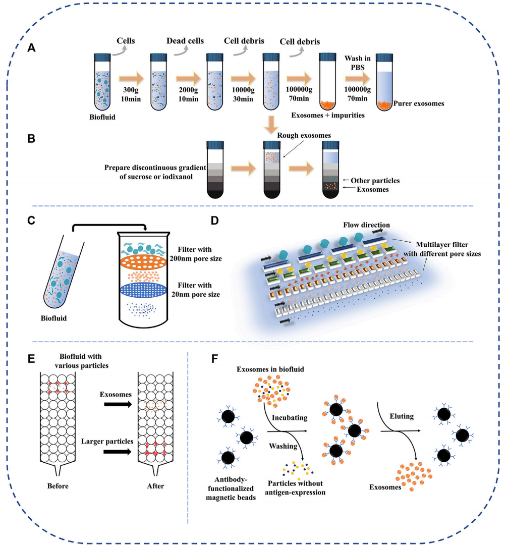1898984545928728576-exosome-separation-purification-service1.PNG