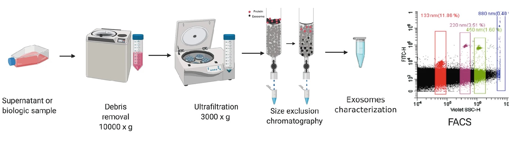 1899017948451426304-facs-based-exosome-characterization-service1.jpg
