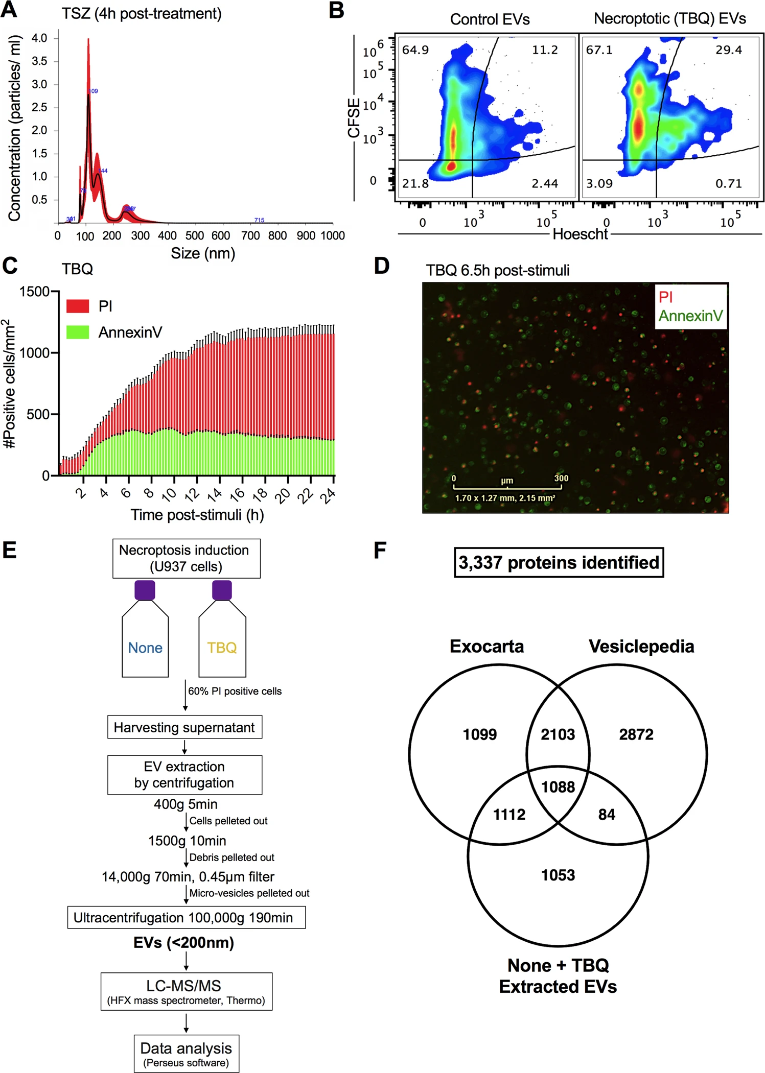 1899026273125650432-extracellular-vesicles-proteomics-service2.png