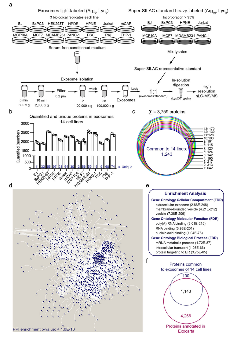 1899737889215467520-exosomics-analysis-service2.PNG