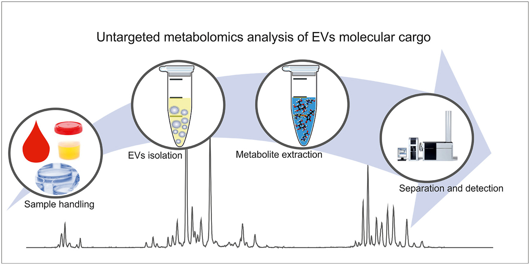 1899743084183932928-extracellular-vesicles-metabolomics-service1.jpg
