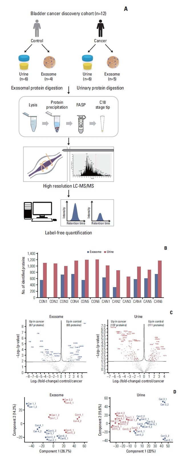 1899743387008487424-label-free-exosomal-proteomic-detection-service2.jpg