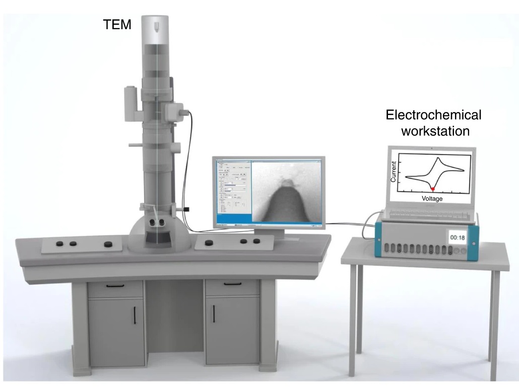 1899748035832434688-transmission-electron-microscope-tem-based-exosome-characterization-service1.jpg