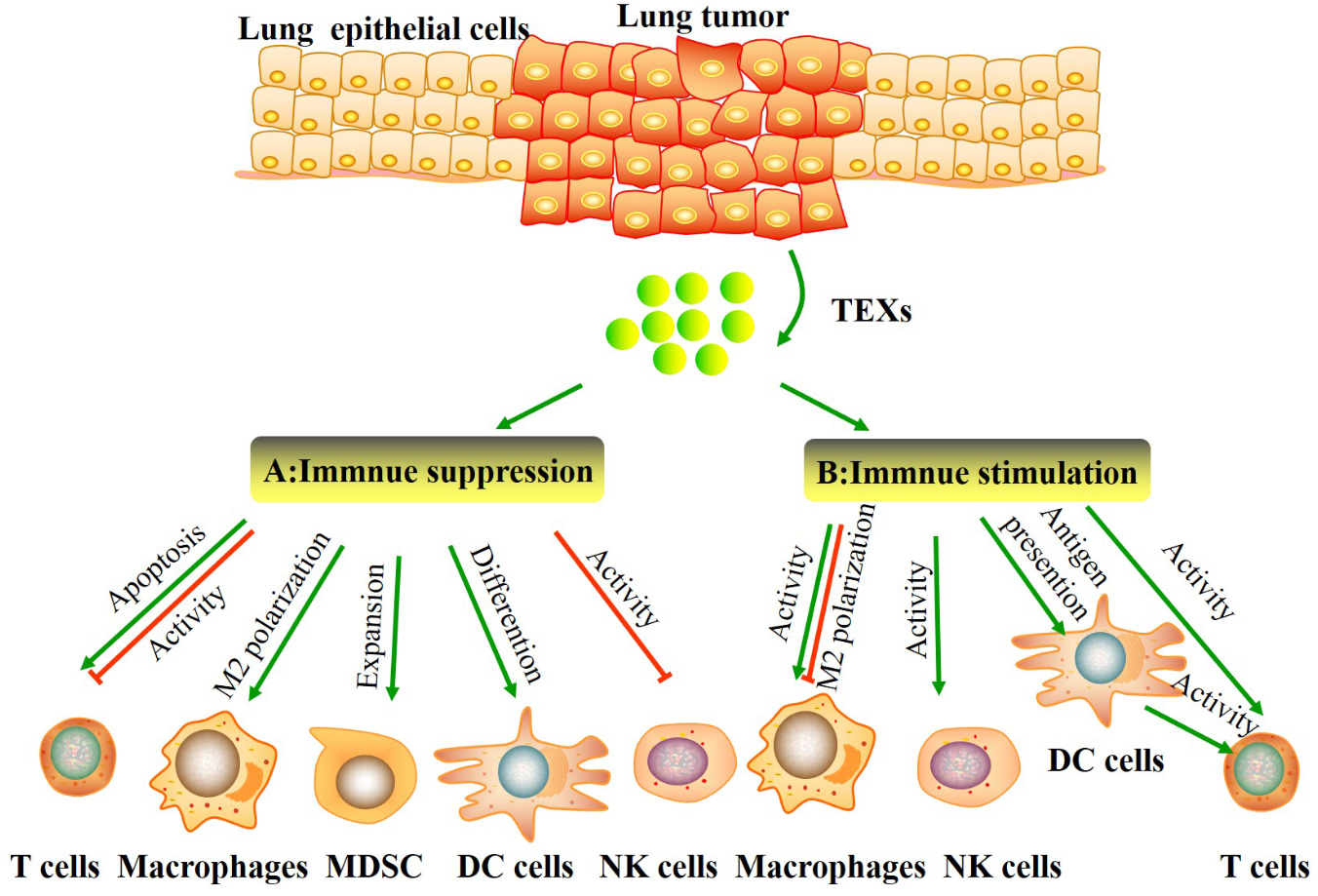 1900009106740727808-tumor-cell-derived-exosomes-based-vaccines1.png
