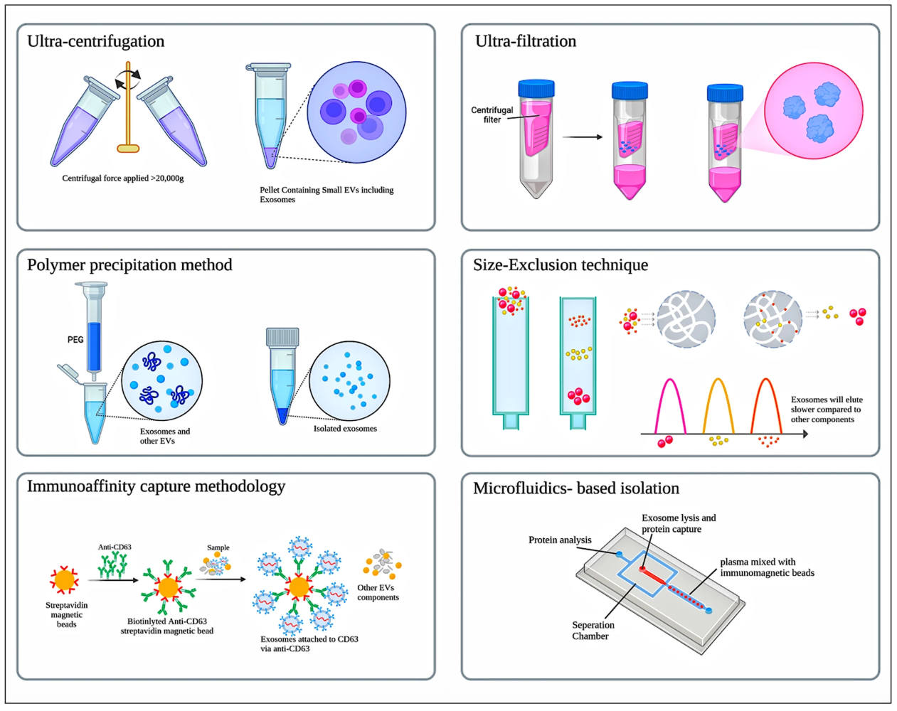 1900076906209464320-vaccine-development-service2.png