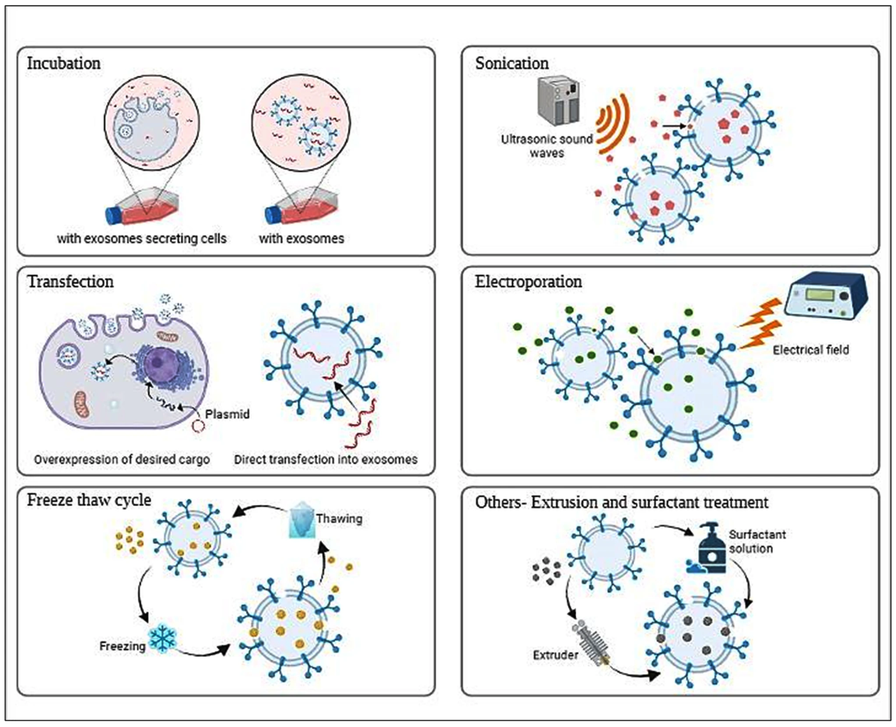1900078461277032448-vaccine-development-service3.png