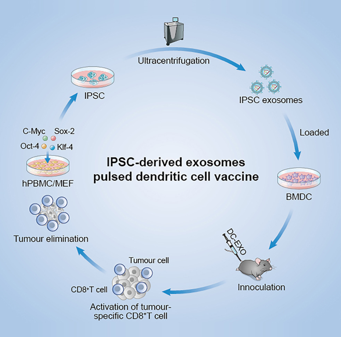 1900095624817790976-vaccine-development-service4.png