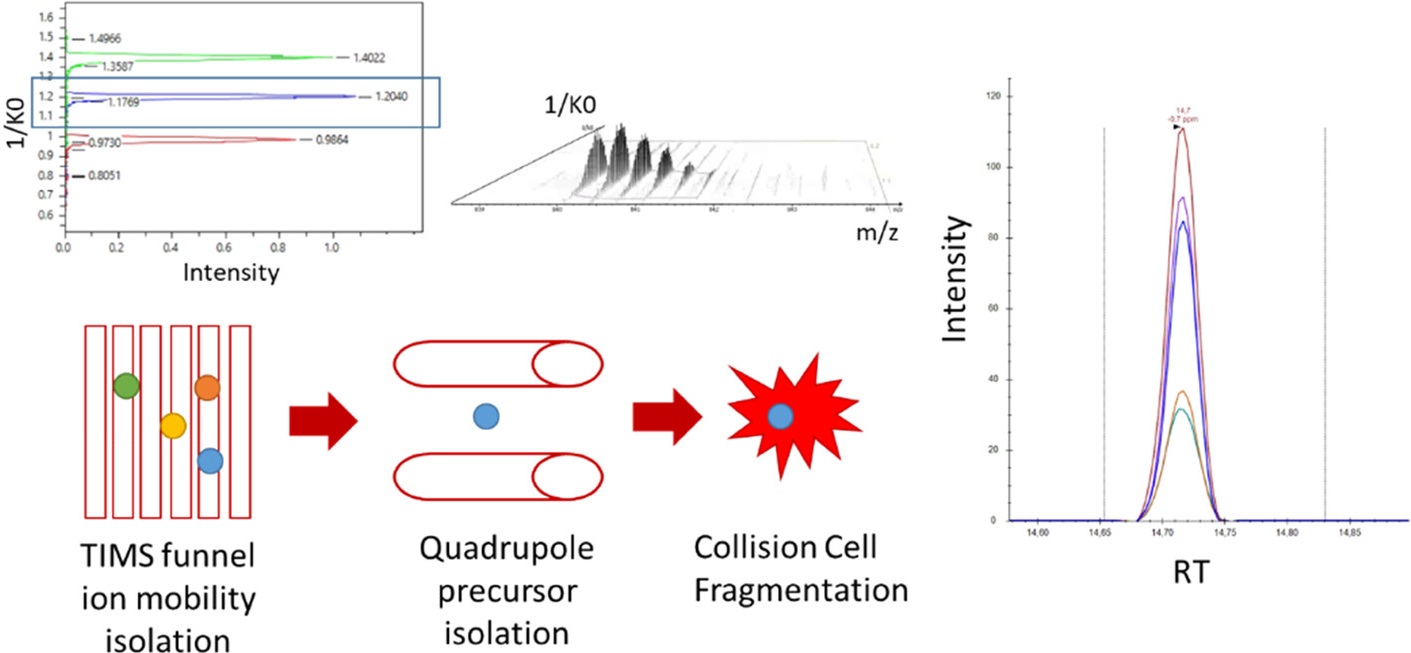 1900101722429837312-four-dimensional-exosomal-proteomic-detection-service1.jpeg