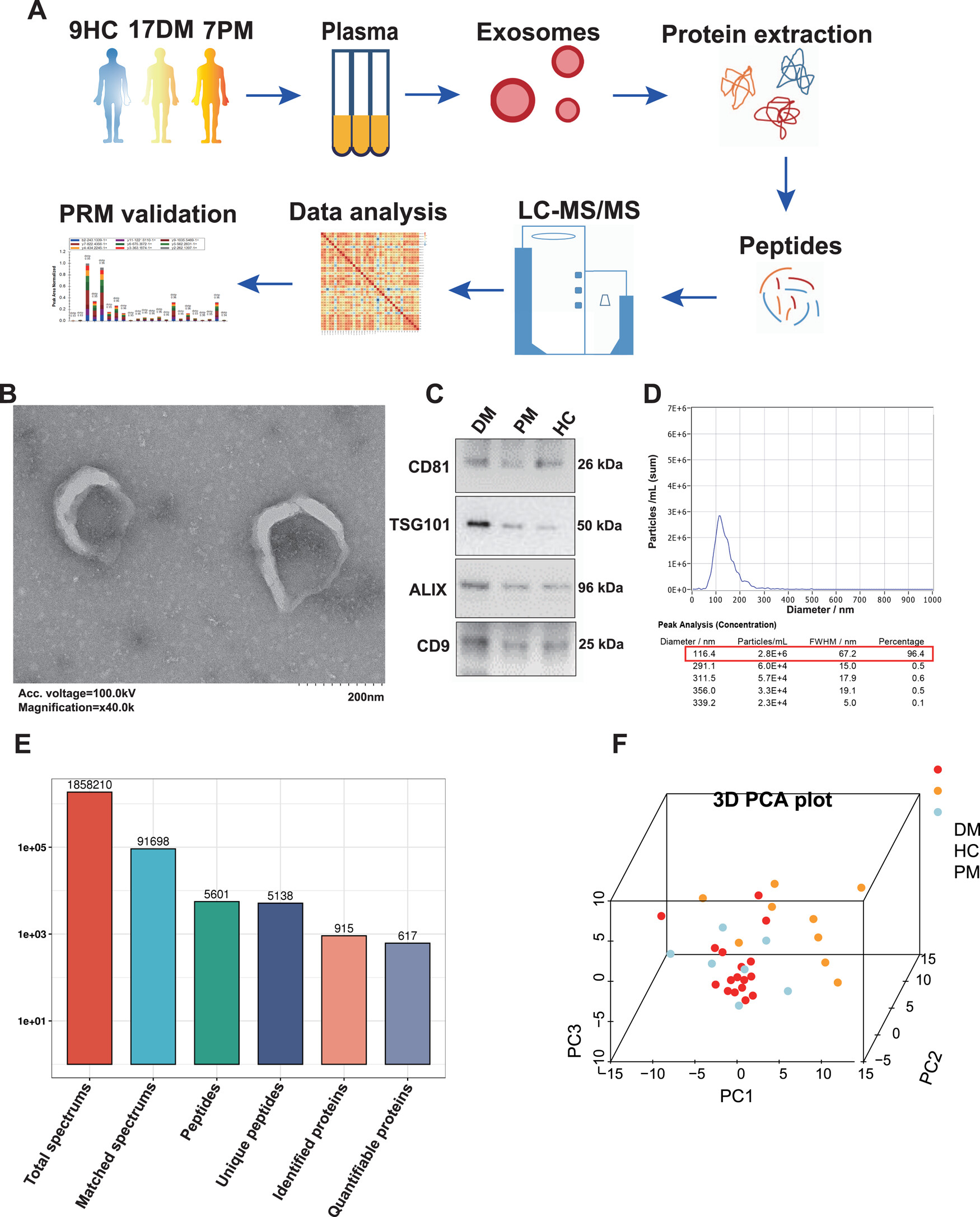 1900102927772143616-four-dimensional-exosomal-proteomic-detection-service2.jpeg