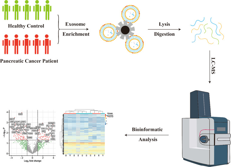 1900115041526075392-mass-spectrometry-based-exosome-characterization-service1.jpeg