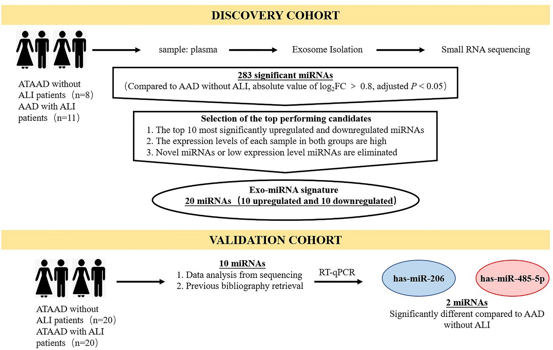 1900469189127819264-exosome-ngs-services-rna-next-generation-sequencing2.webp