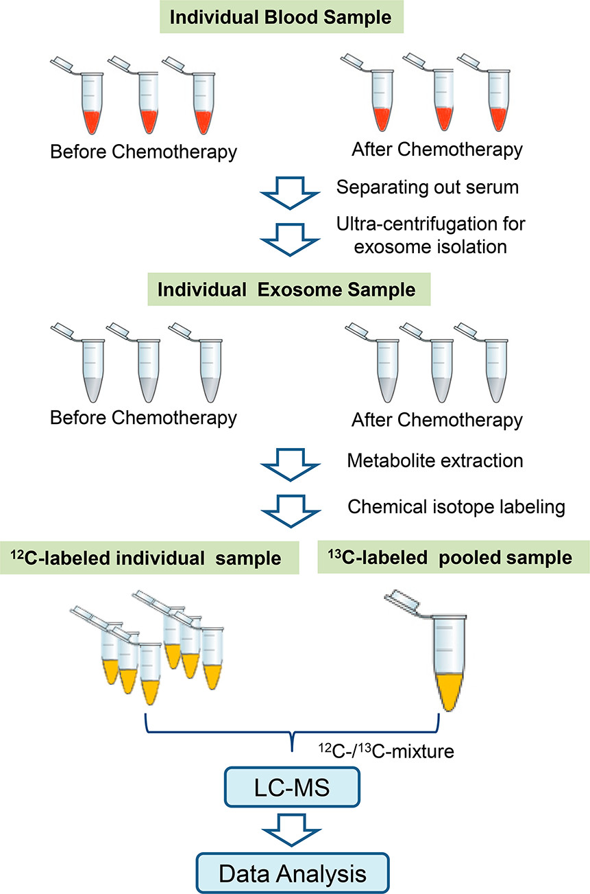1900474819691532288-labeled-exosomal-proteomic-detection-service1.jpeg
