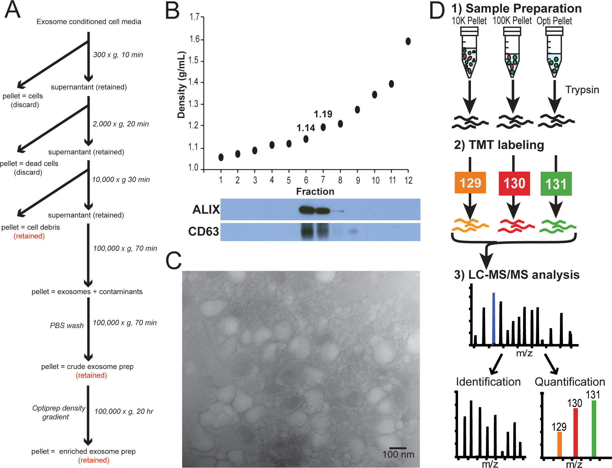 1900474965594591232-labeled-exosomal-proteomic-detection-service2.jpeg