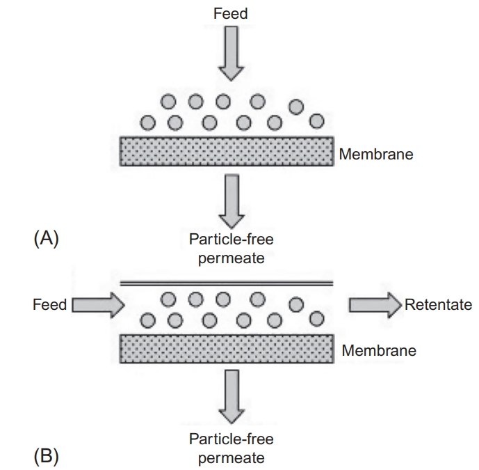 1900476222535225344-ultracentrifugation-and-microfiltration-based-exosome-purification-service2.png
