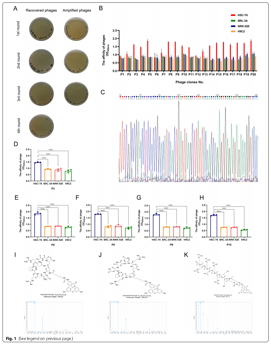 1901468650956247040-liver-targeted-exosome-modification-service2.PNG