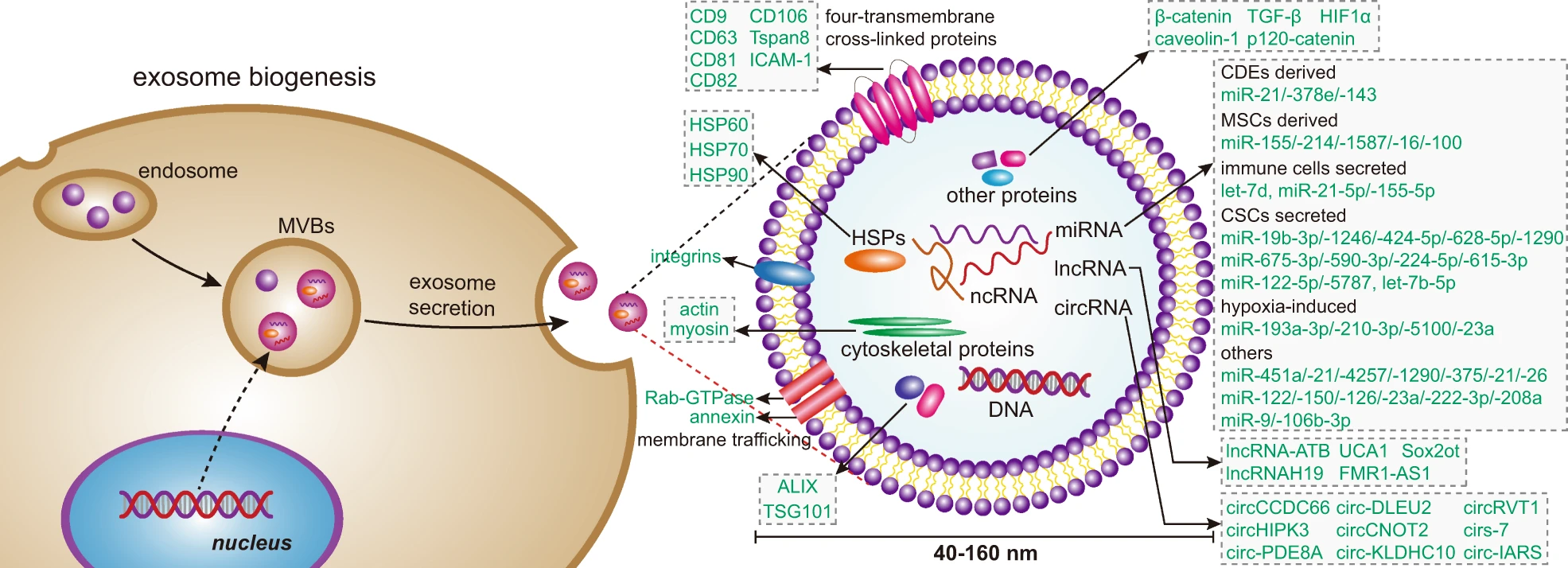 1901525924206727168-exosome-display-service1.png