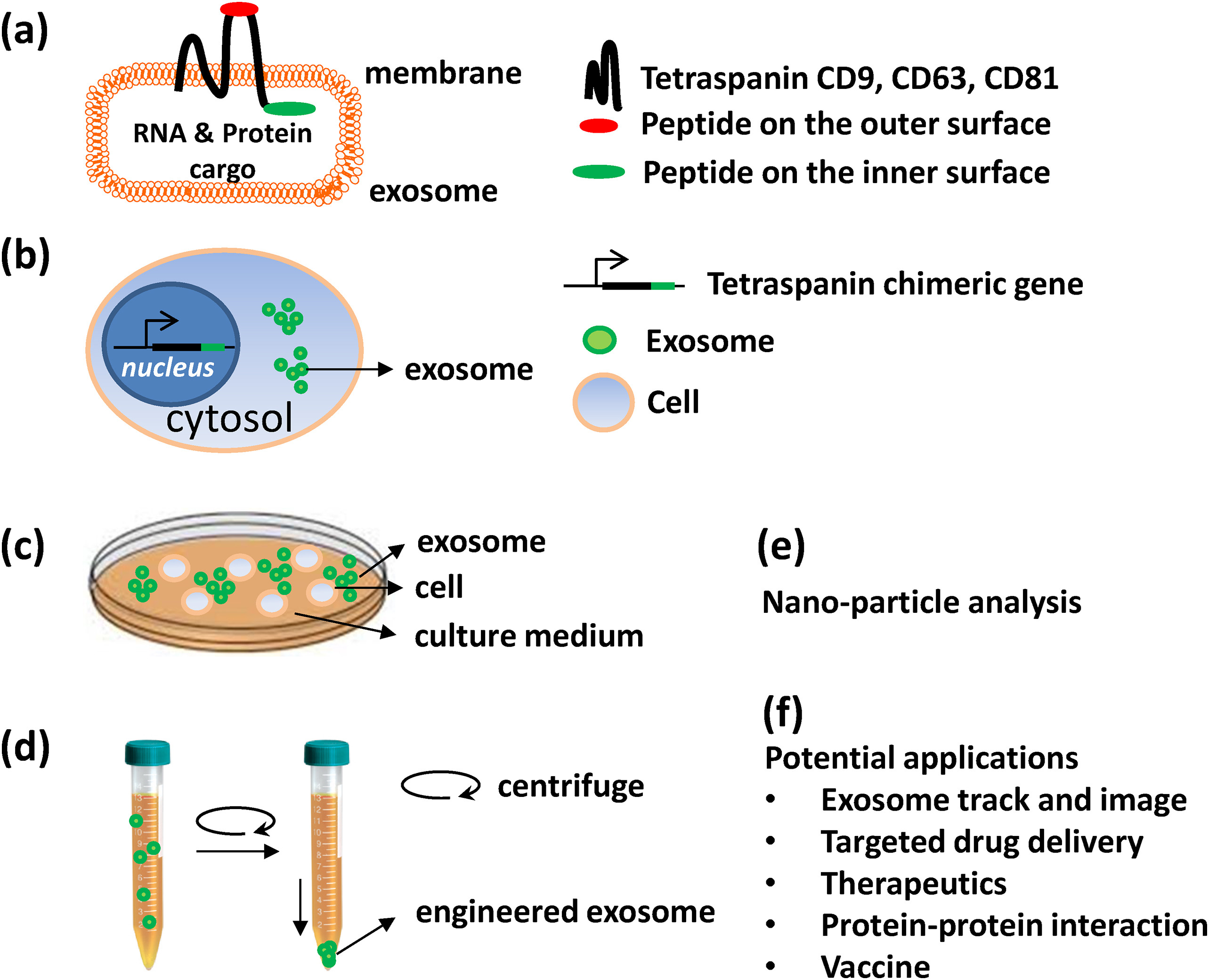 1901526190737969152-exosome-display-service2.jpg