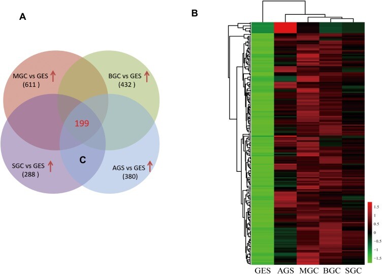 exosomal-lncrna-microarray-service2.jpg