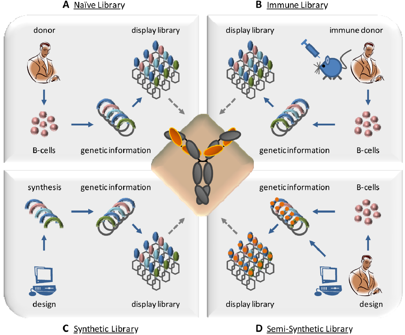 1901818283033219072-immune-phage-display-antibody-library-screening-service-for-exosome1.png