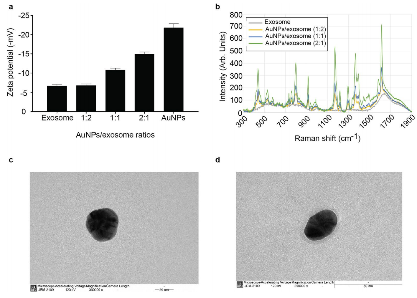 1901828278852374528-brain-targeted-exosome-modification-service3.PNG