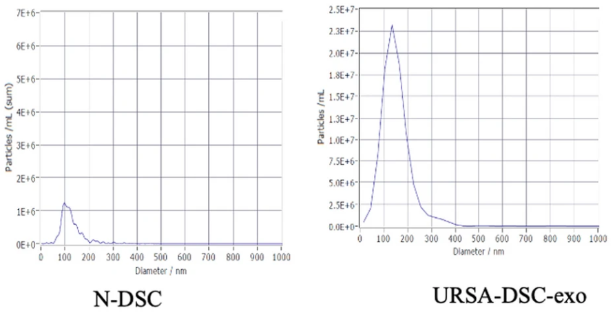 1901902784153374720-exosome-quality-control-service2.png