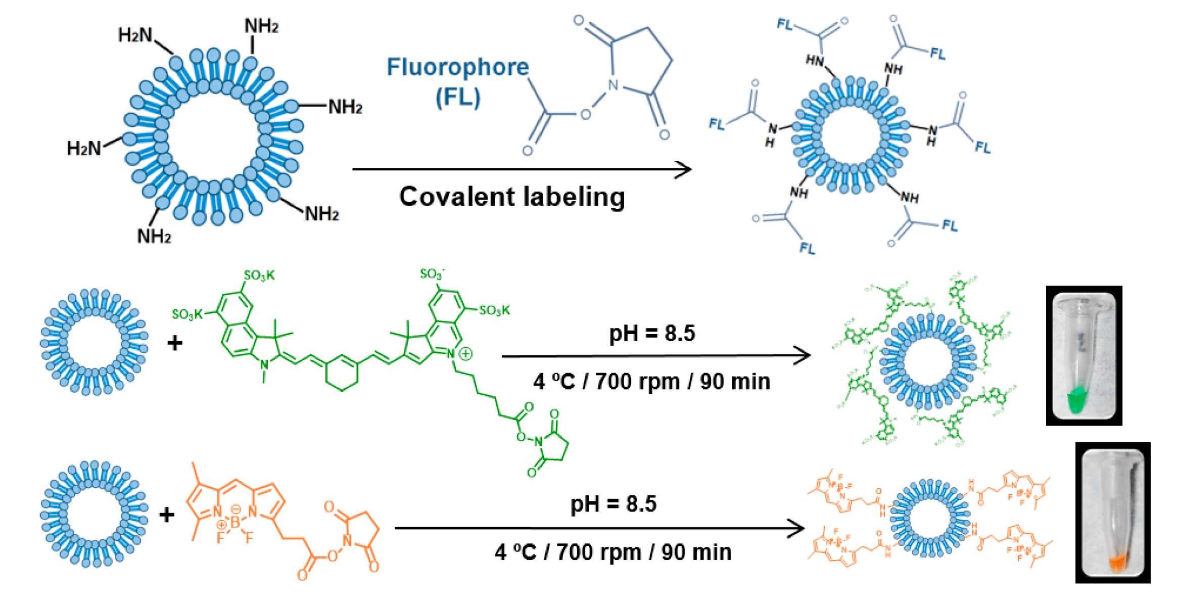 1904461442502479872-fluorescent-dyes-based-exosomes-labeling-service1.png