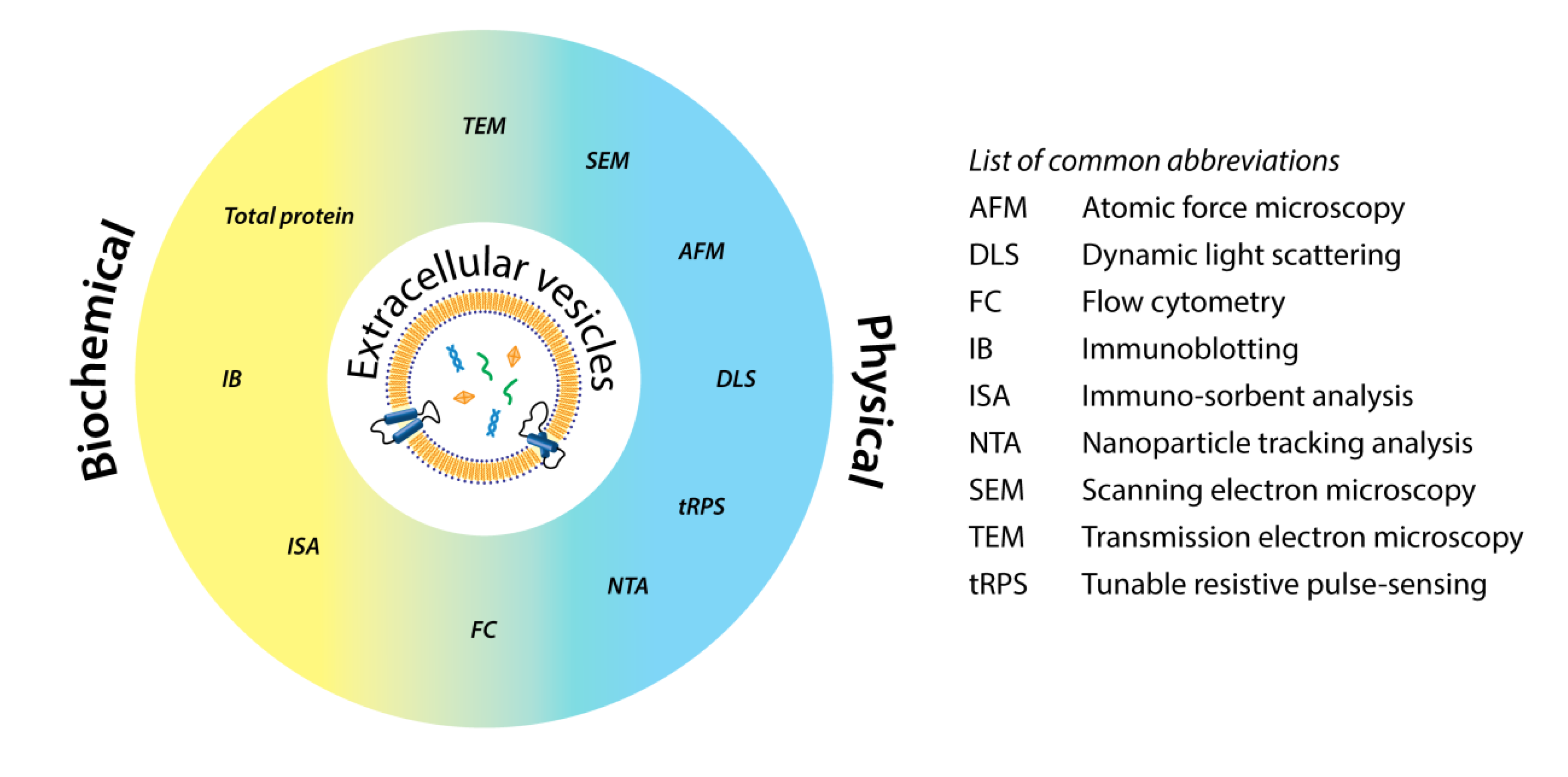 1905184964040314880-extracellular-vesicle-characterization-and-quantification-service1.png