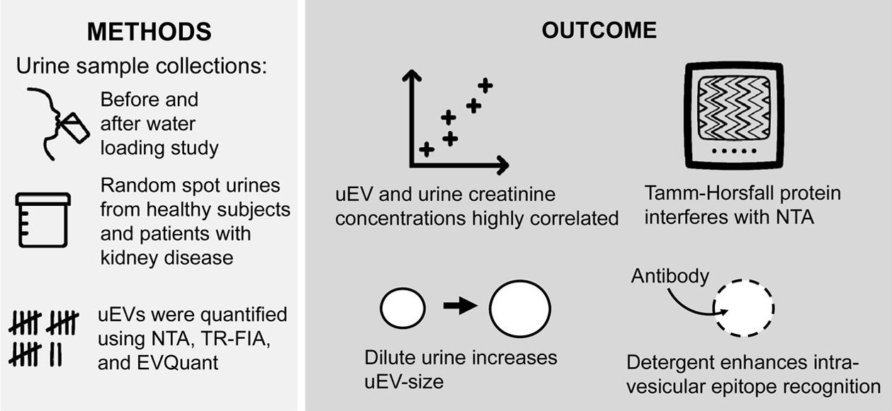 1905185327107657728-extracellular-vesicle-characterization-and-quantification-service3.jpeg