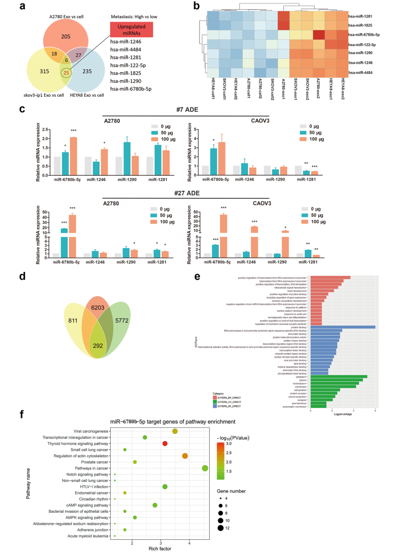 1905430604859166720-ovarian-cancer-targeted-exosome-modification-service3.PNG