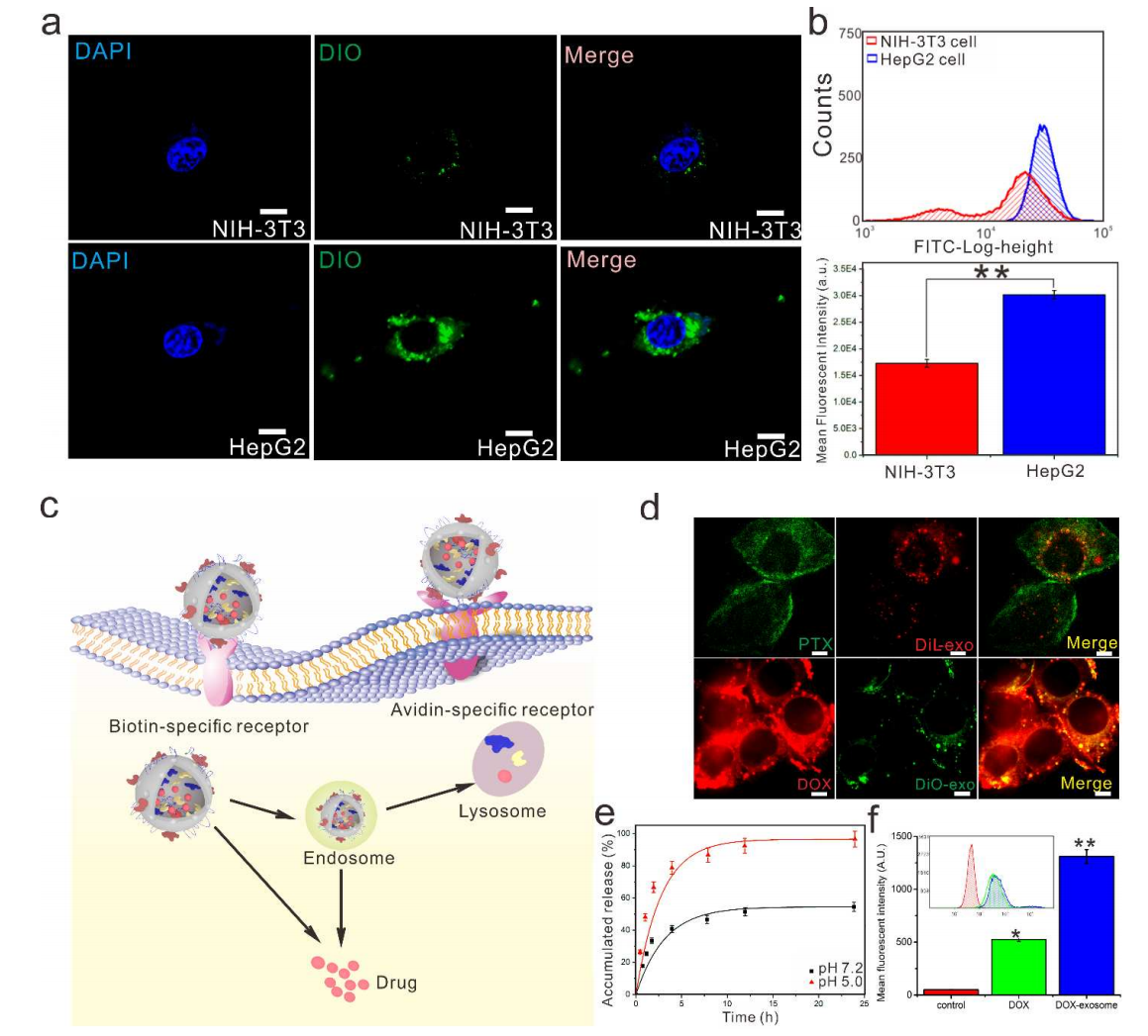 1905435506100523008-tumor-cells-targeted-exosome-modification-service2.PNG
