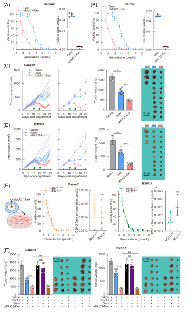 1905435642763530240-tumor-cells-targeted-exosome-modification-service3.PNG