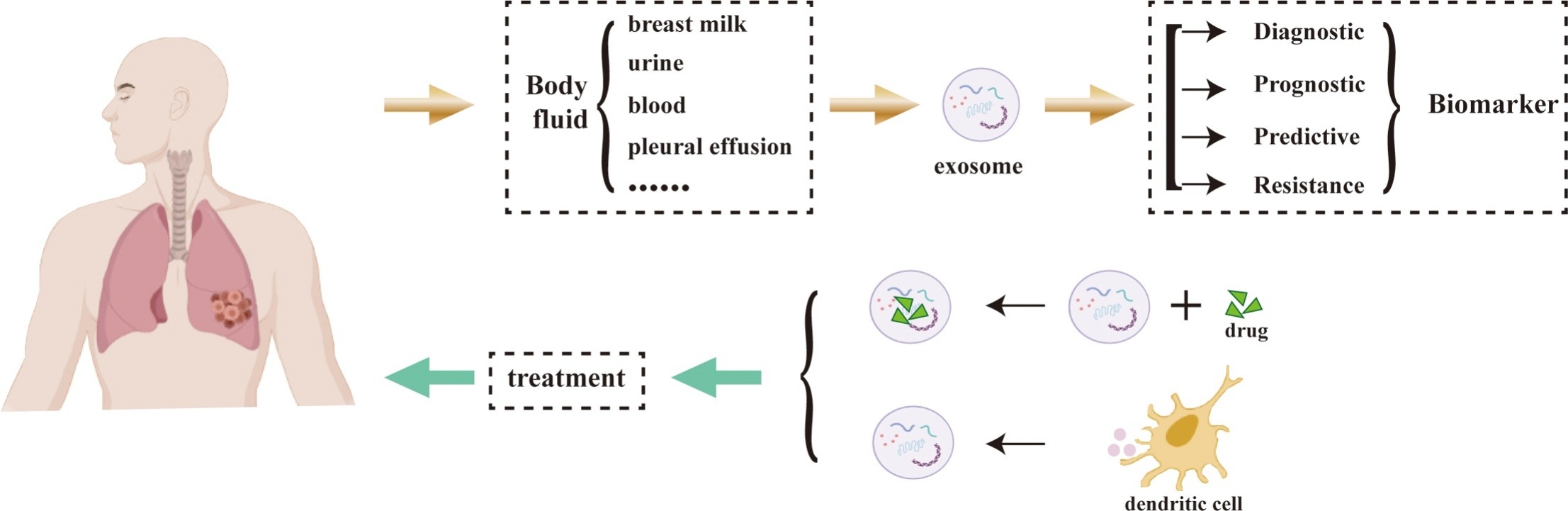 1905537563872579584-lung-disease-diagnosis-applied-exosomes1.jpg
