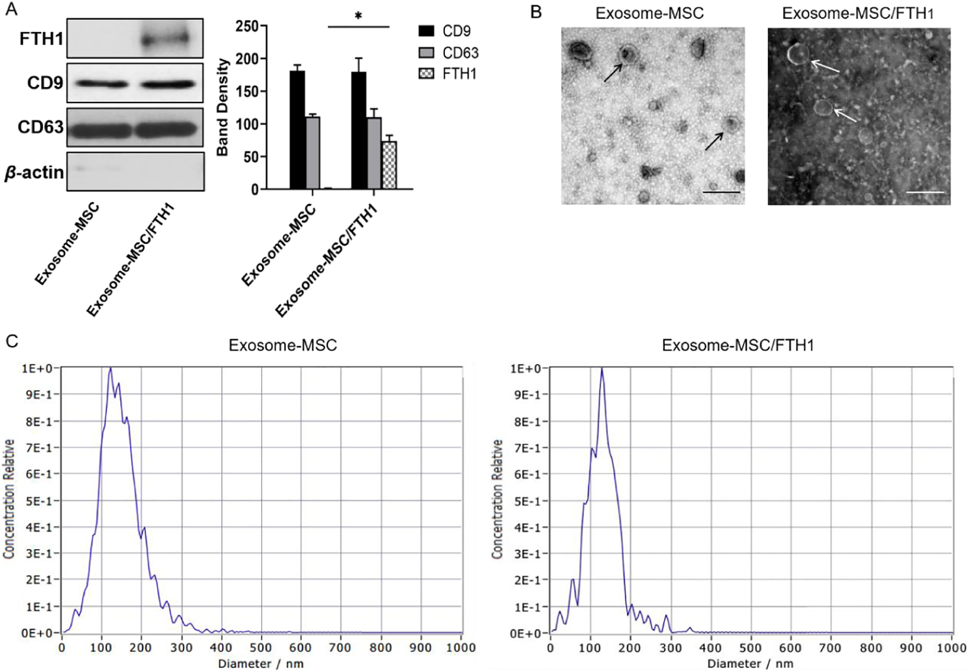 1905547062511521792-exosome-tracking-service2.jpg