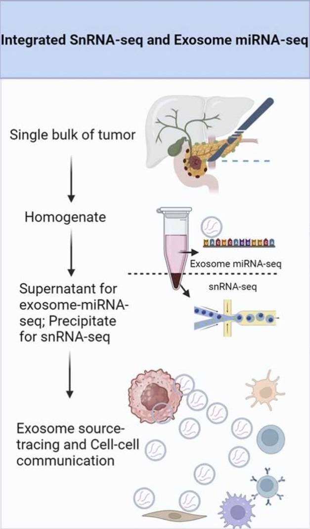 1905548840837697536-single-cell-exosome-combined-research-service1.jpg