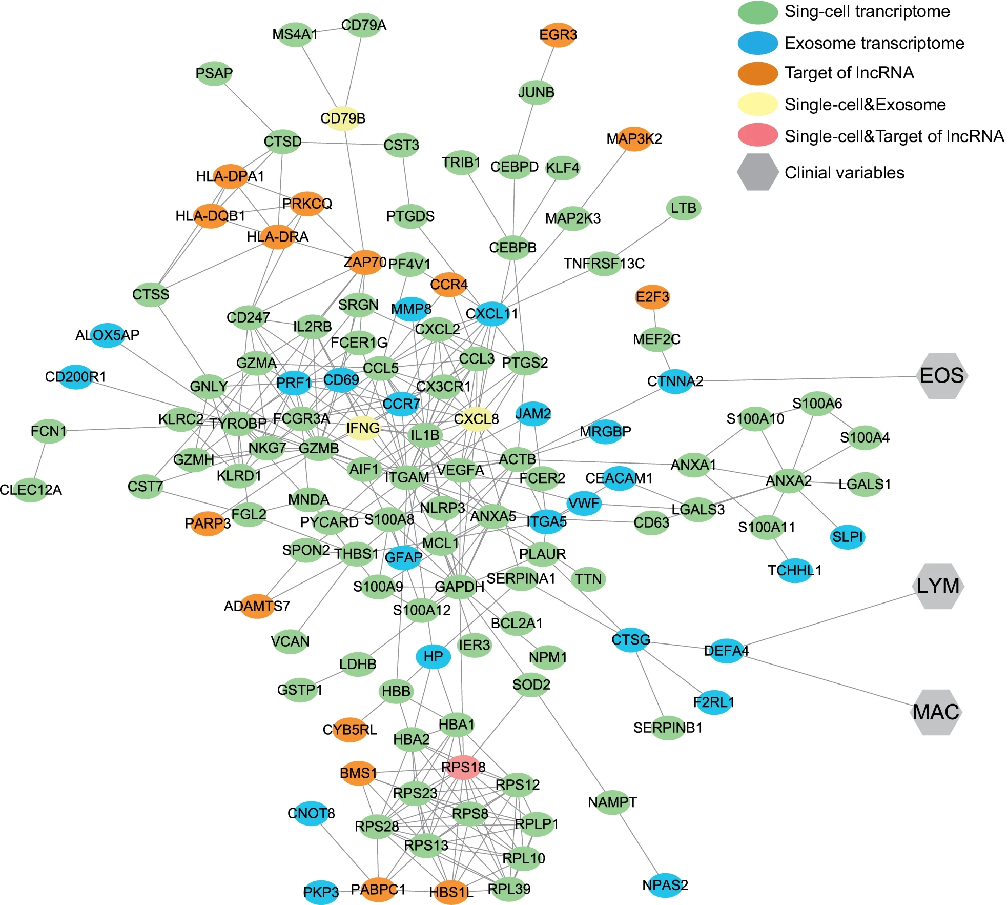 1905549003748659200-single-cell-exosome-combined-research-service2.png