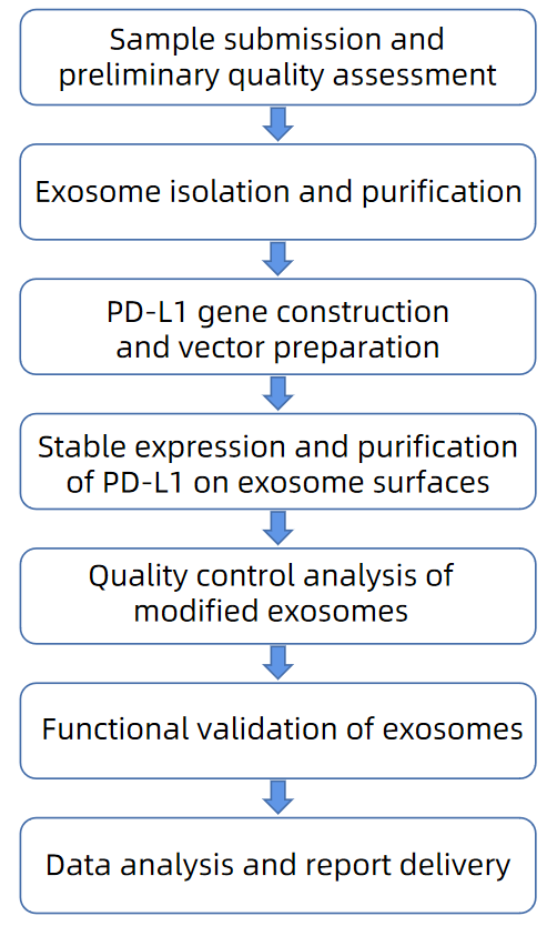 1906513950397812736-pd-l1-expressed-exosome-modification-service2.PNG