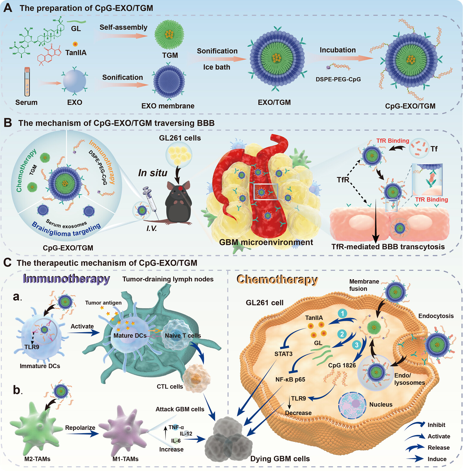 1906628521787772928-exosome-cargo-post-loading-service2.jpeg