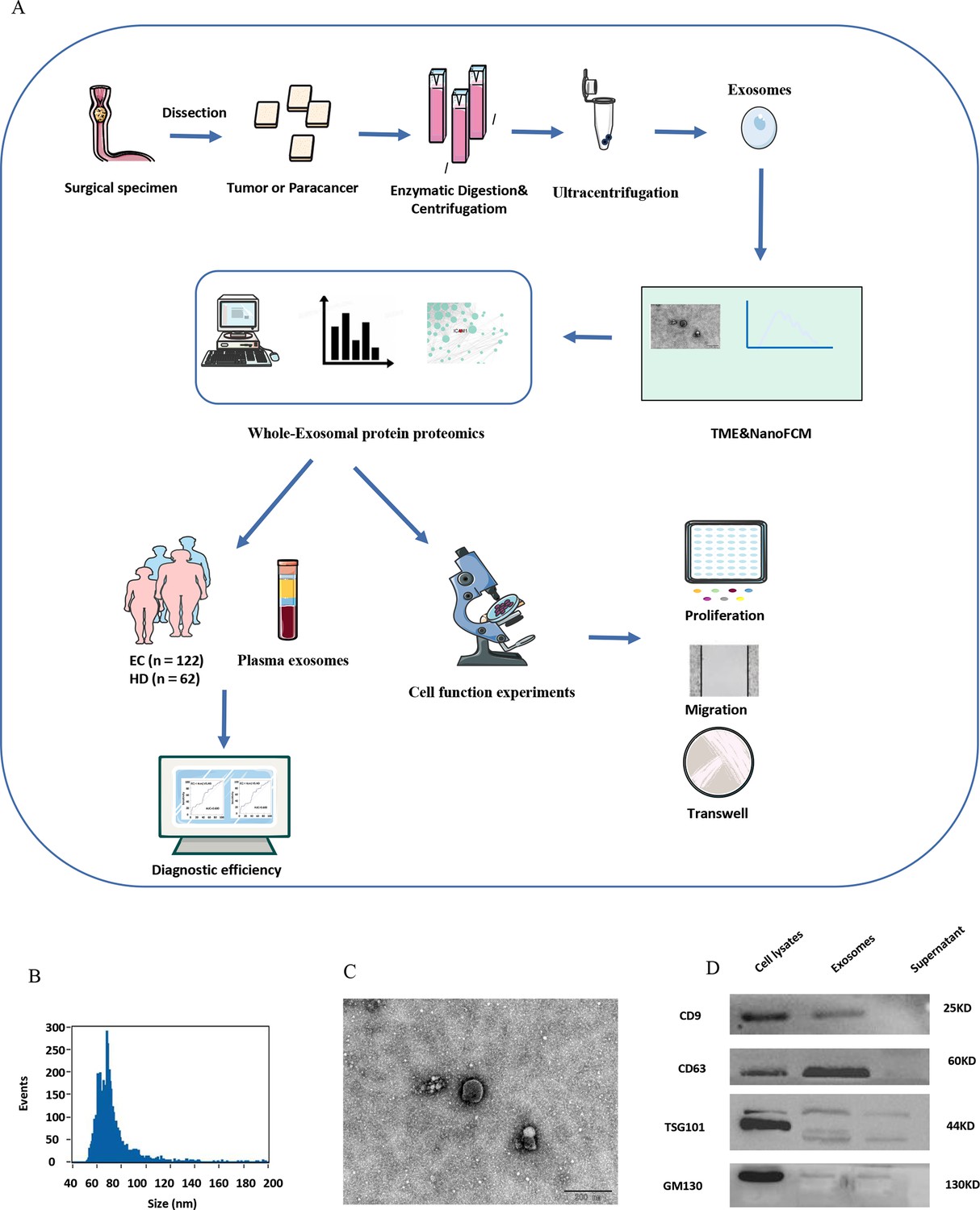 1906636088115056640-tissue-exosome-research-and-applications1.jpg