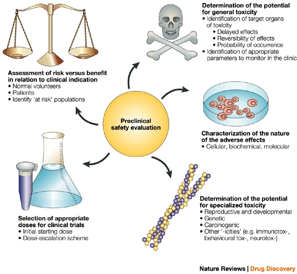 1906973559508029440-drug-safety-assessment1.png