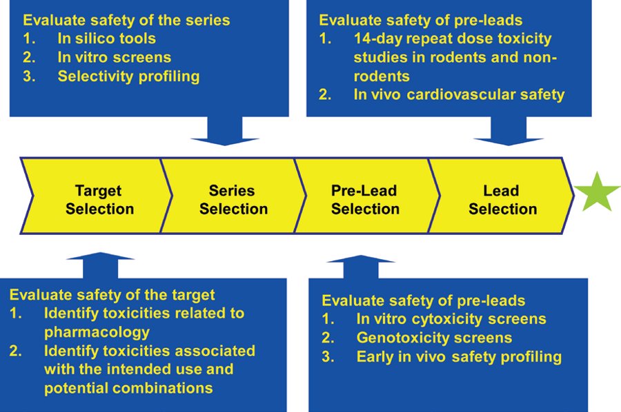 1906973874198269952-drug-safety-assessment2.jpg