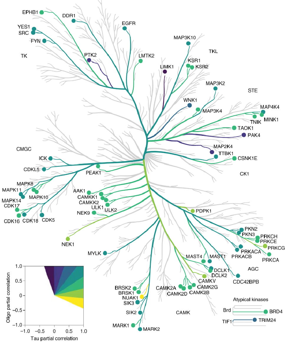 1891388698600787968-phosphoproteomics-service3.png