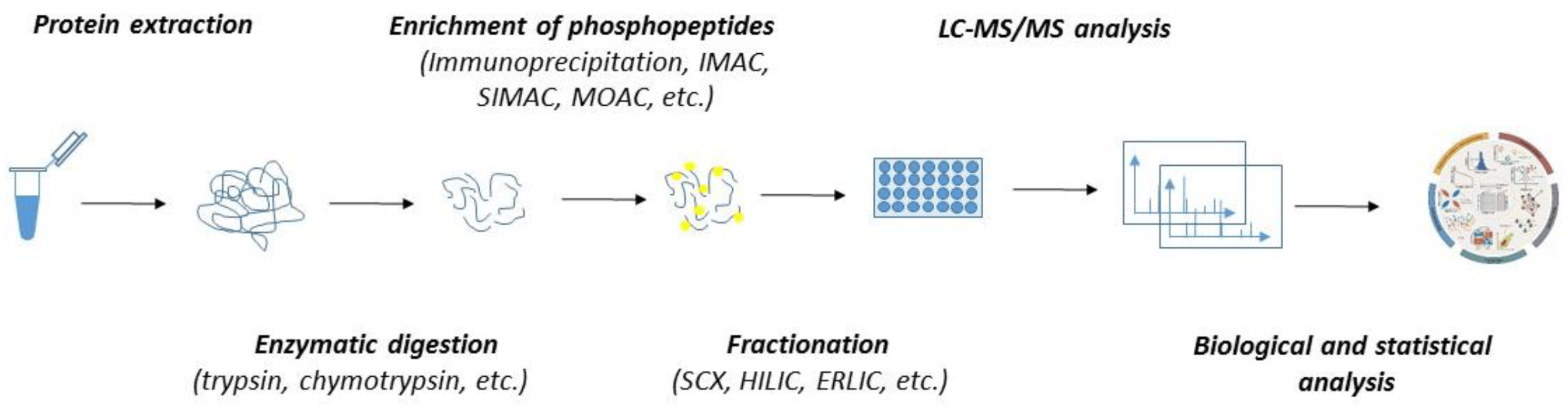 1891689122729938944-label-free-quantitative-proteomics-service1.png